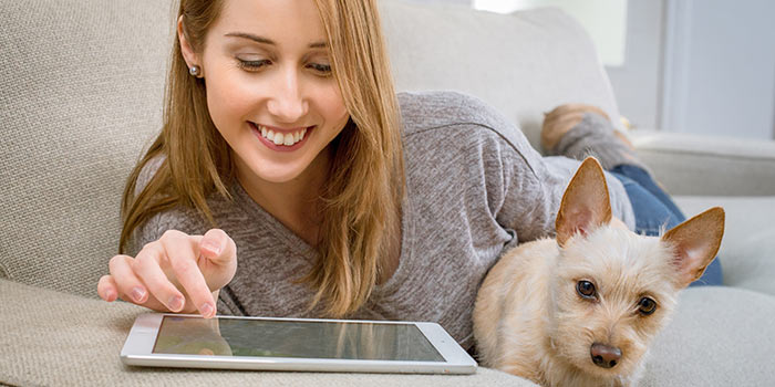 How to Maintain a Good Credit Rating Throughout the Year